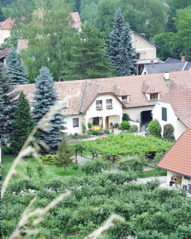 לינה וארוחת בוקר קרמס אן דר דונאו Weinberghof Ilkerl-Luf מראה חיצוני תמונה